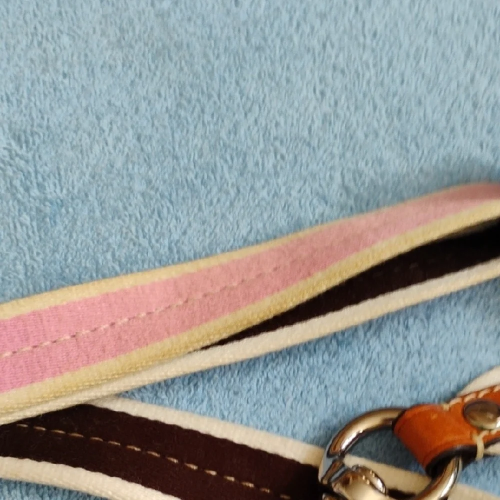 Coach Crossbody Bag with Signature Pattern
